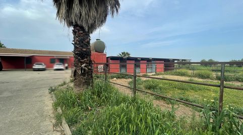 Foto 3 de Finca rústica en venda a Niebla, Huelva