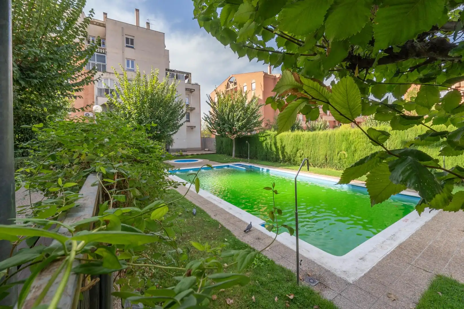 Piso con piscina en venta en Norte, imagen 56
