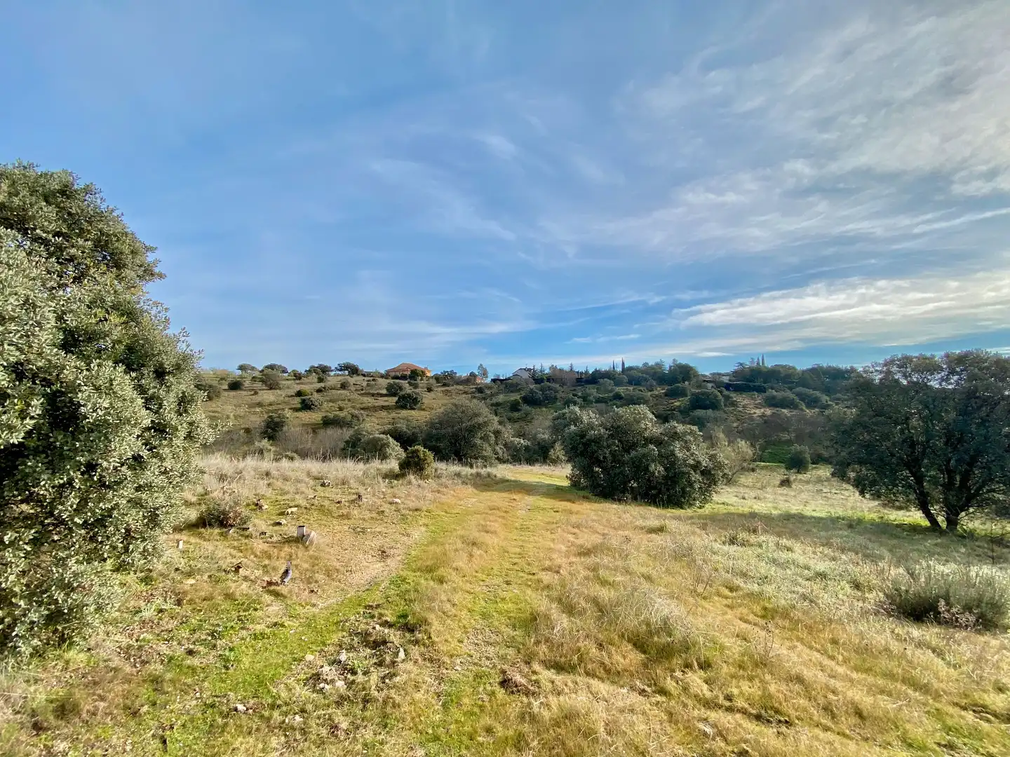 Rural land for sale in Mojadillas - Parque de las Infantas - El Paraiso, imagen 6