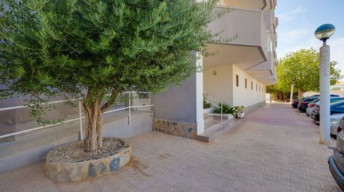 Foto 5 de Piso en venta en Calle Isla Menorca, 5, La Regia, Orihuela
