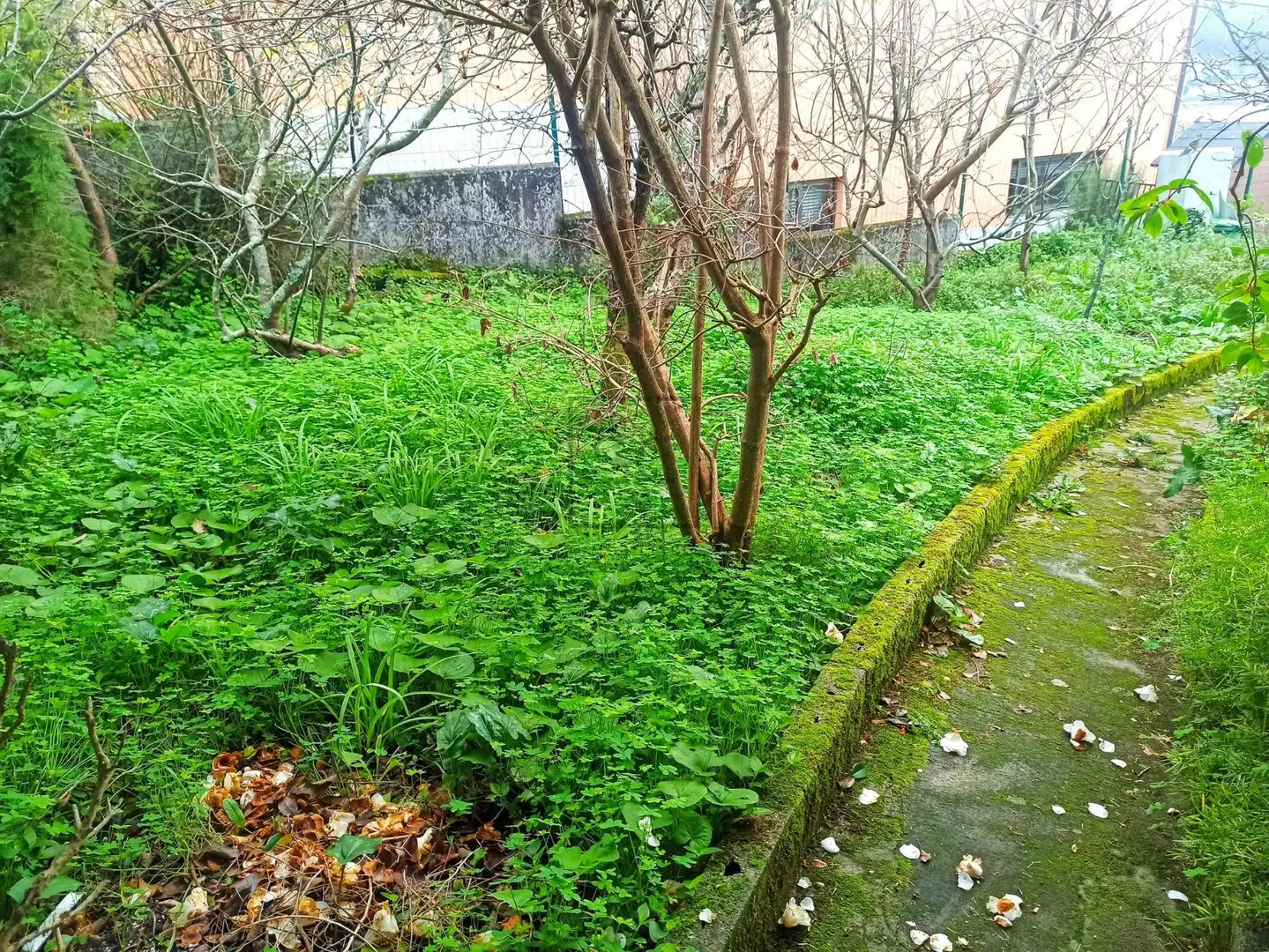 Casa o chalet en venta en Ferrol con Jardín privado