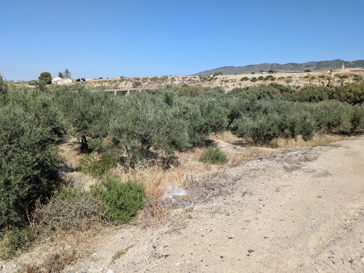 Terrains et parcelles à vendre à Pedanías Centro, imagen 6