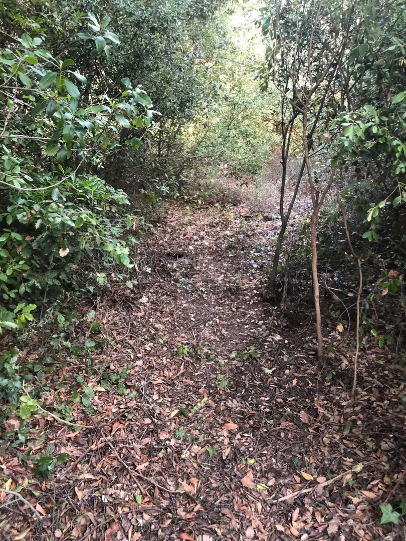 Terreno residencial en venta en Camino Mataro de 67, imagen 13