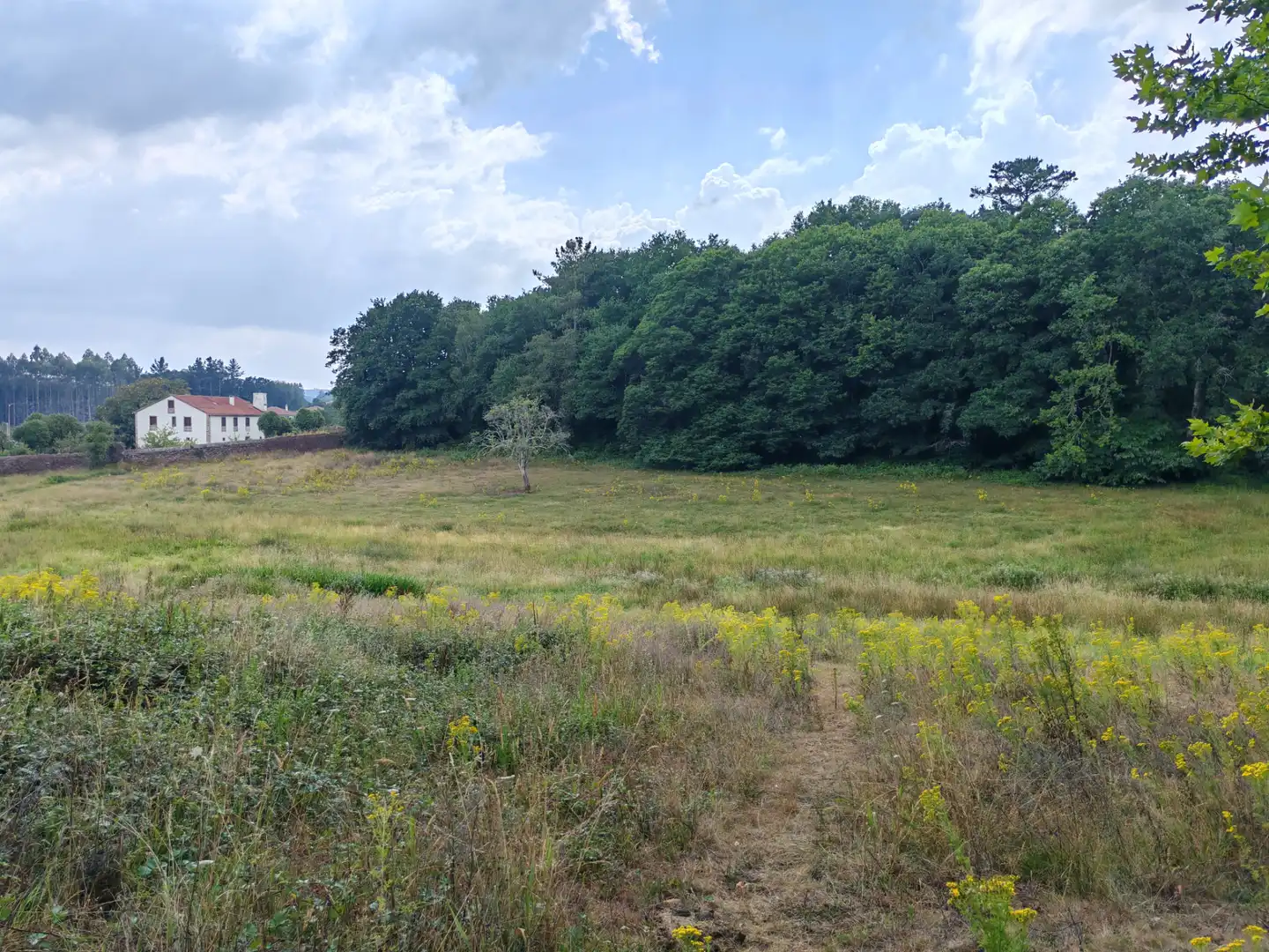 Casa o xalet en venda en O Pino  amb Jardí privat, Terrassa i Moblat