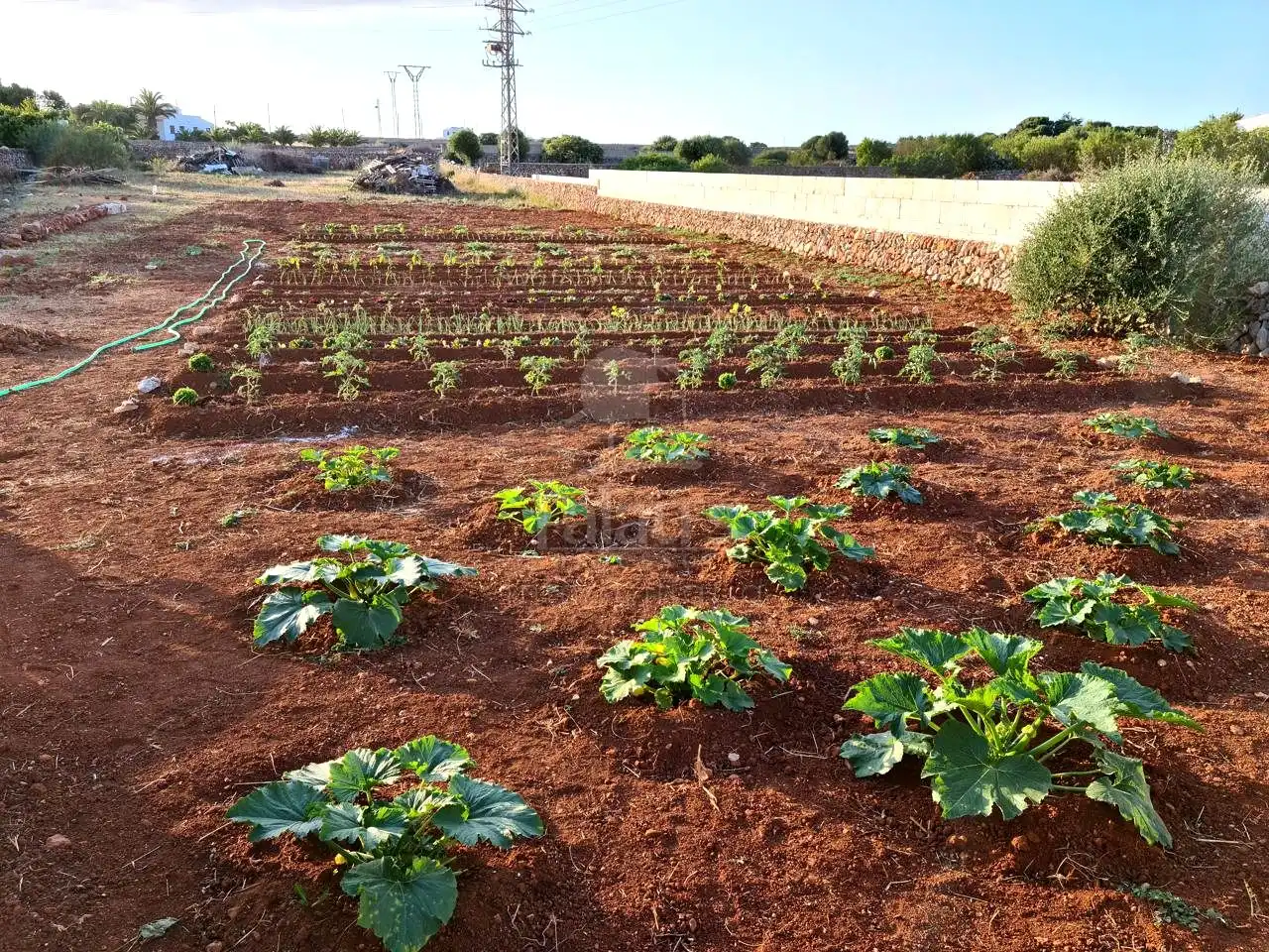 Lands and plots for sale in Ciutadella, imagen 4