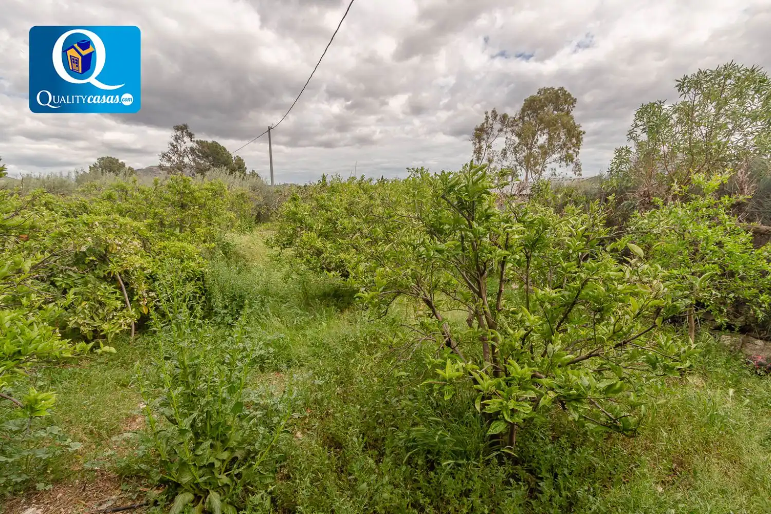 Chalet en venta en Agost, imagen 19