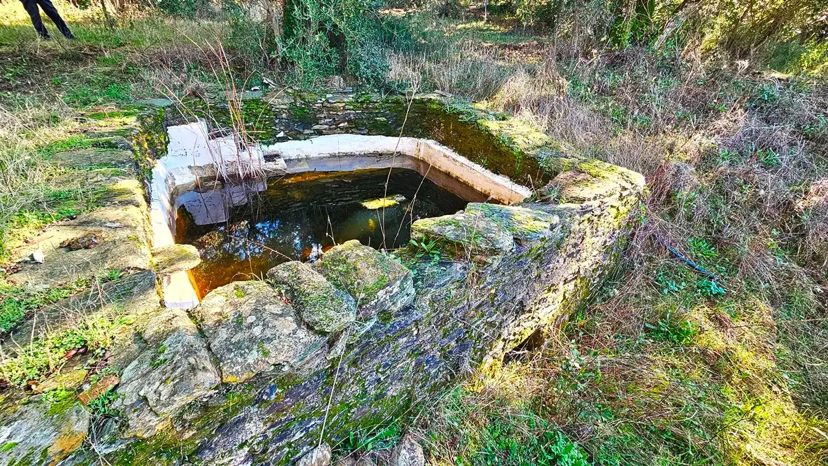 Piscina de Casa o xalet en venda en Los Marines amb Jardí privat, Terrassa i Traster