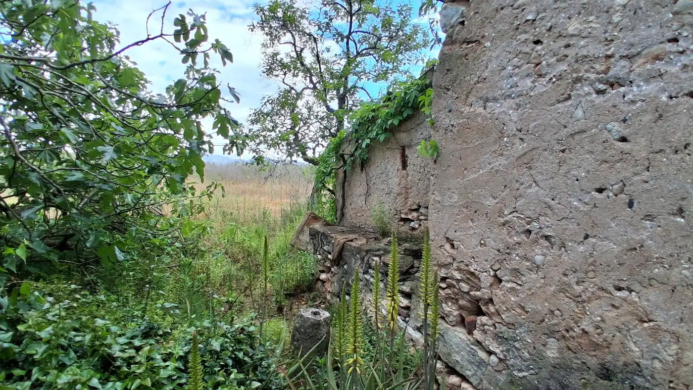 Vista exterior de Terreno en venta en El Milà