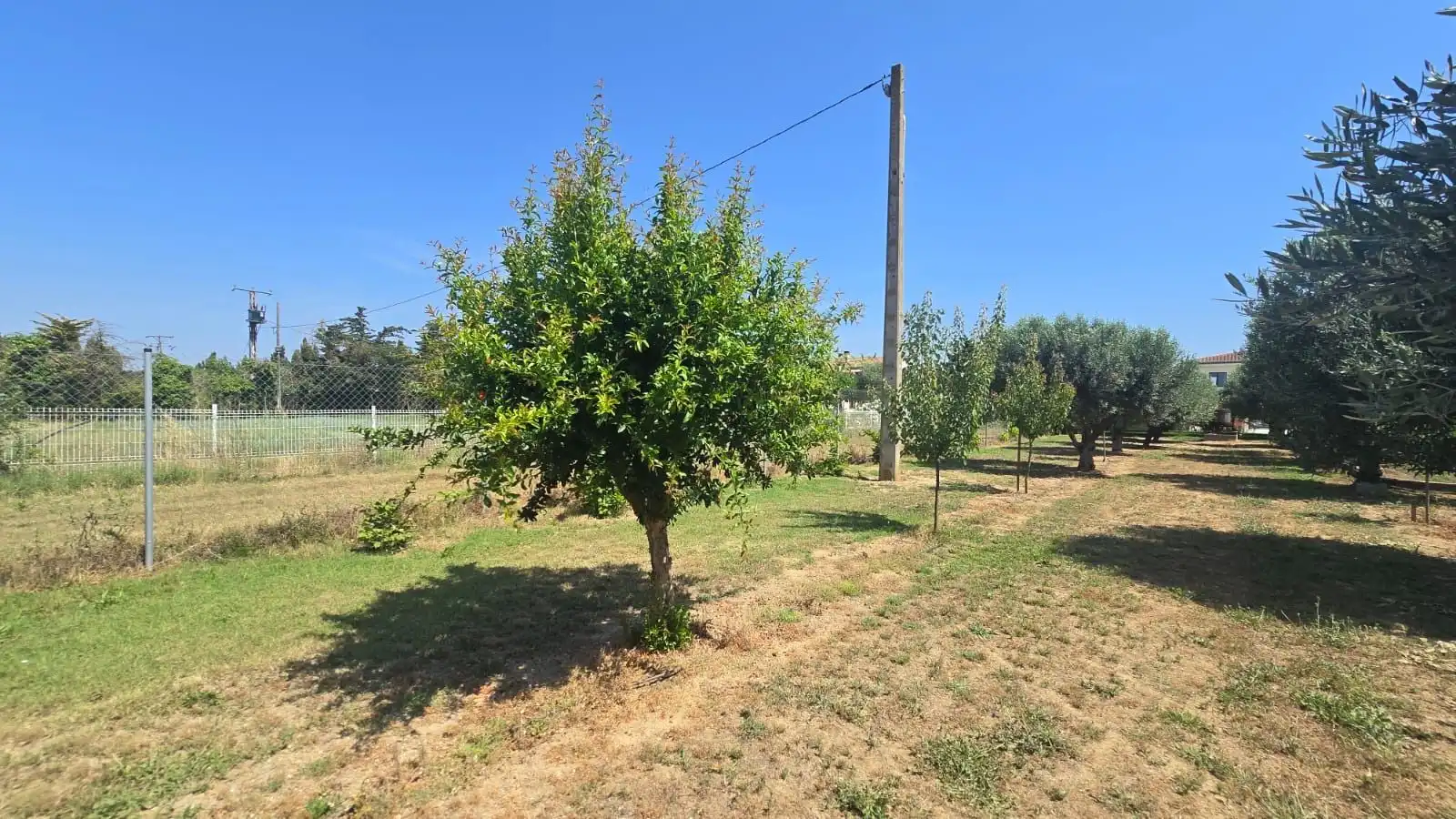 Casa con piscina en venta en Muga - Gran Reserva - Badia, imagen 22