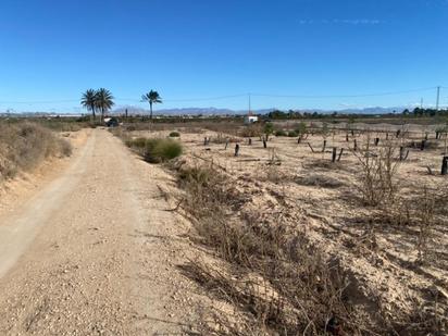 Land for sale in Elche / Elx