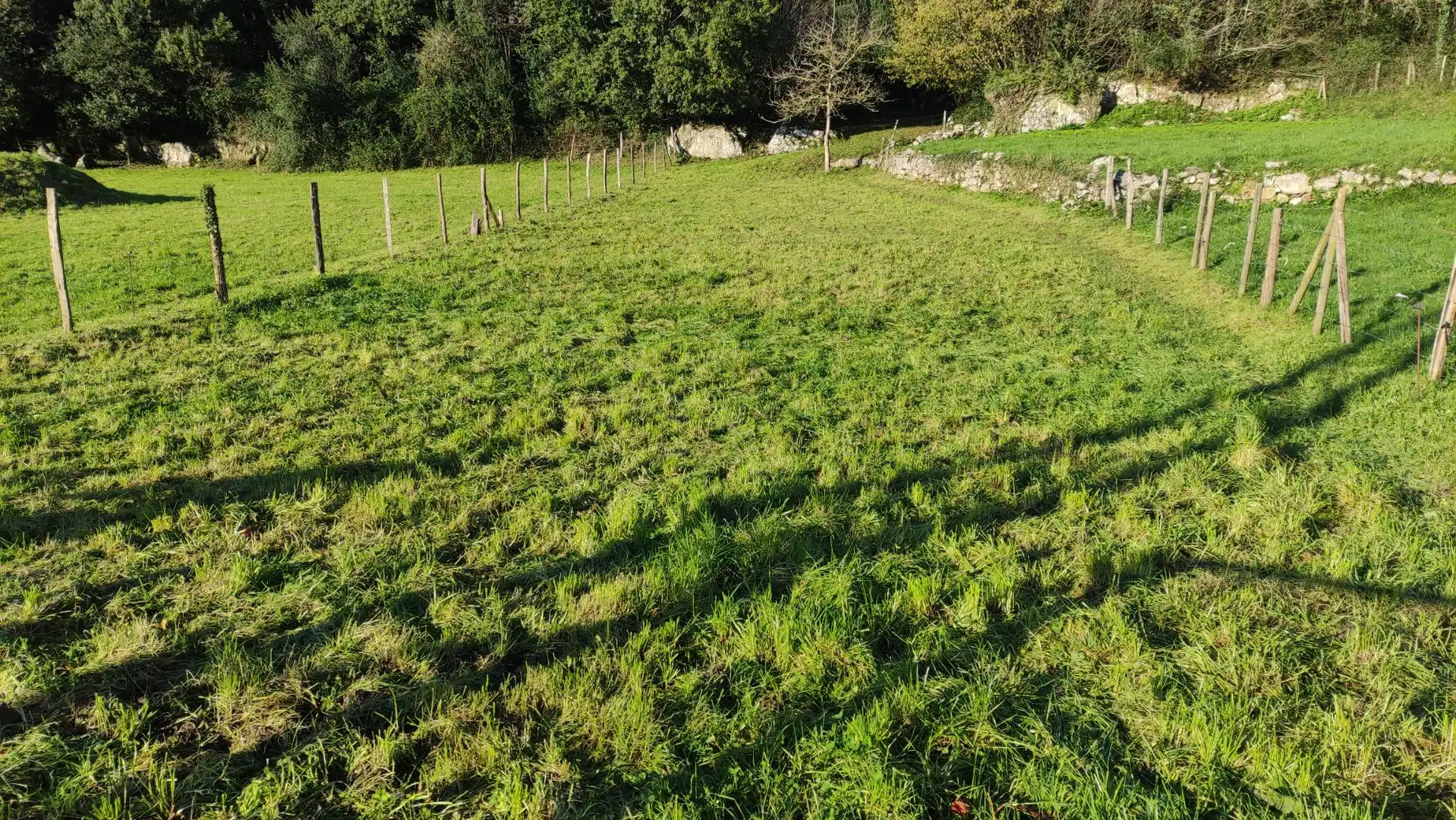 Terreni e lotti in vendita a Reocín