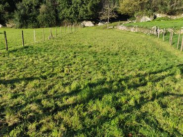 Terreno rústico en venta en Reocín