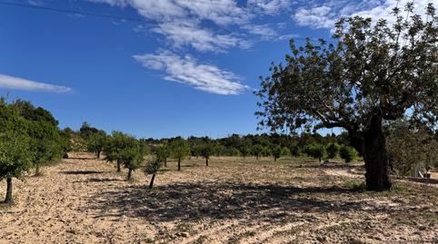 Photo 5 of Land for sale in  Polígono 26 Parcela 21 Casa Blanca-barbeta. Torre, 26, Poligono Mas del Jutge, Valencia