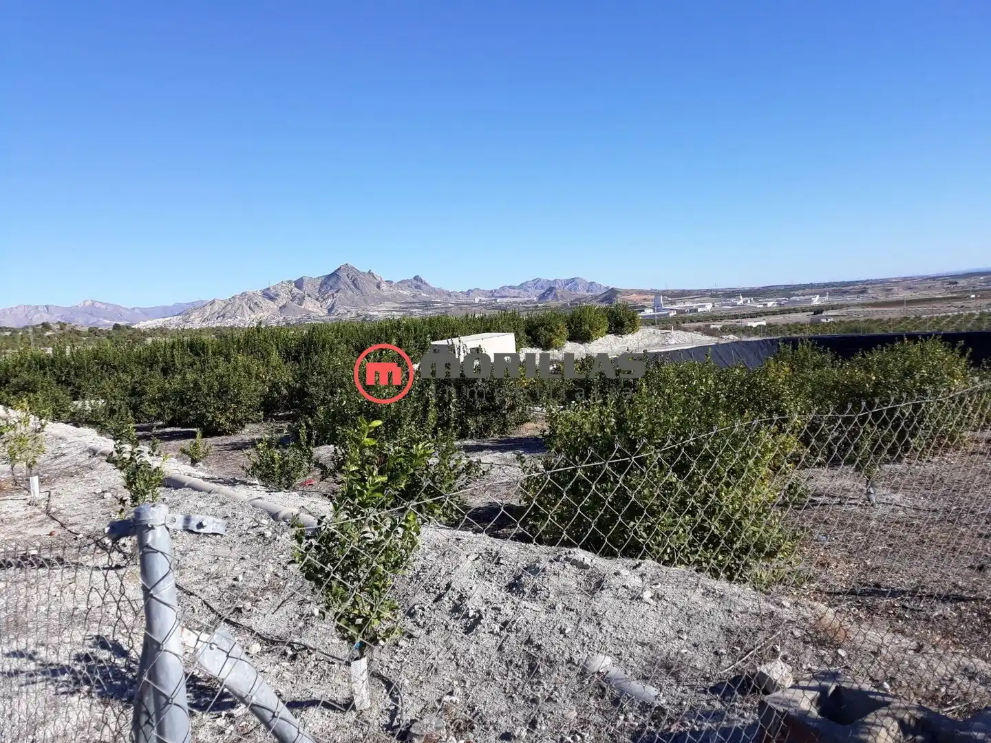 Lands and plots for sale in Carretera de Abanilla 25, imagen 4