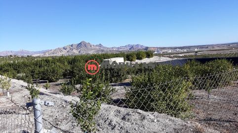 Finca de Regadío con Construcciones, immagine 4
