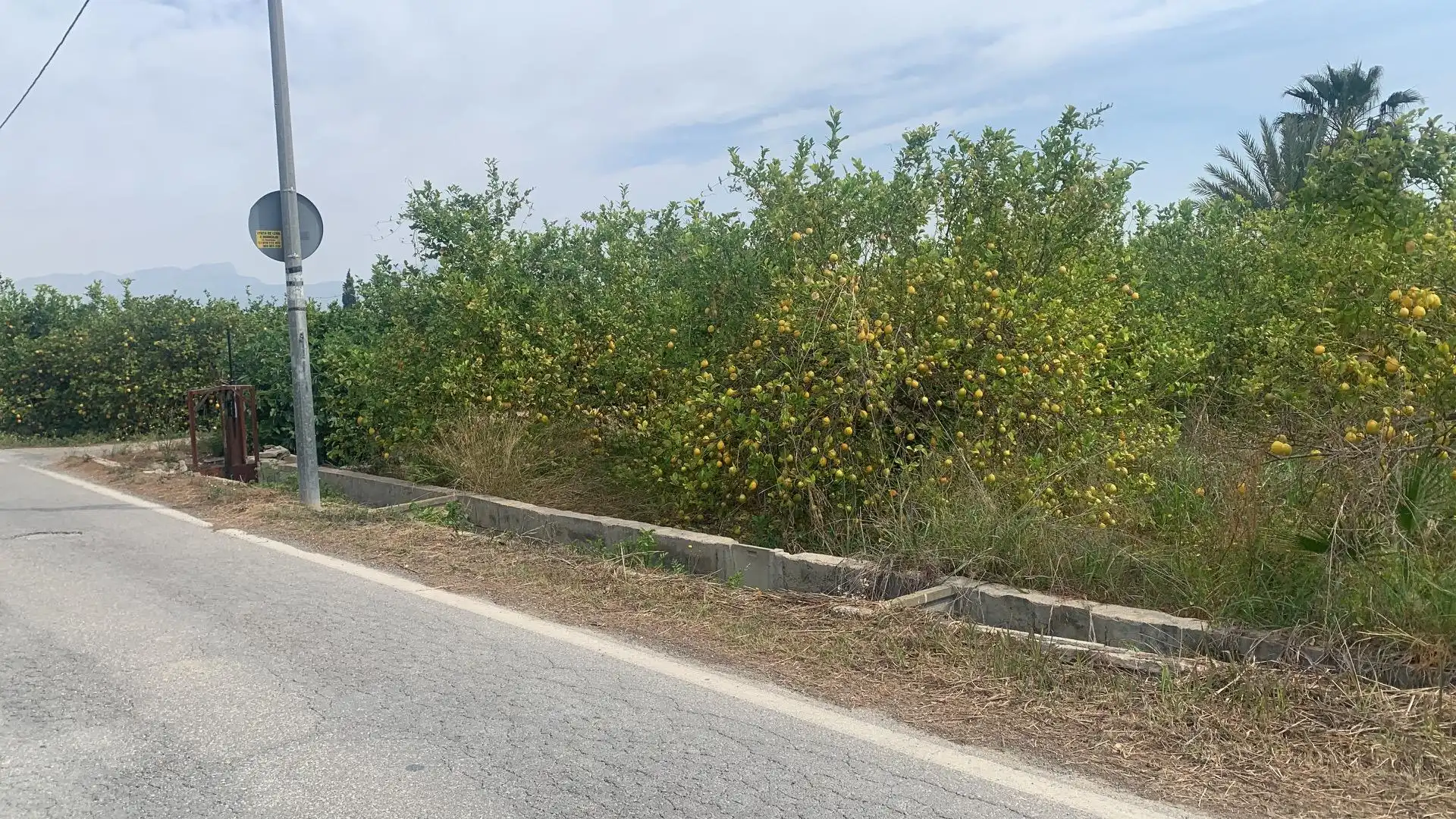 Terrenys i solars en venda a Pedanías Este, imagen 9