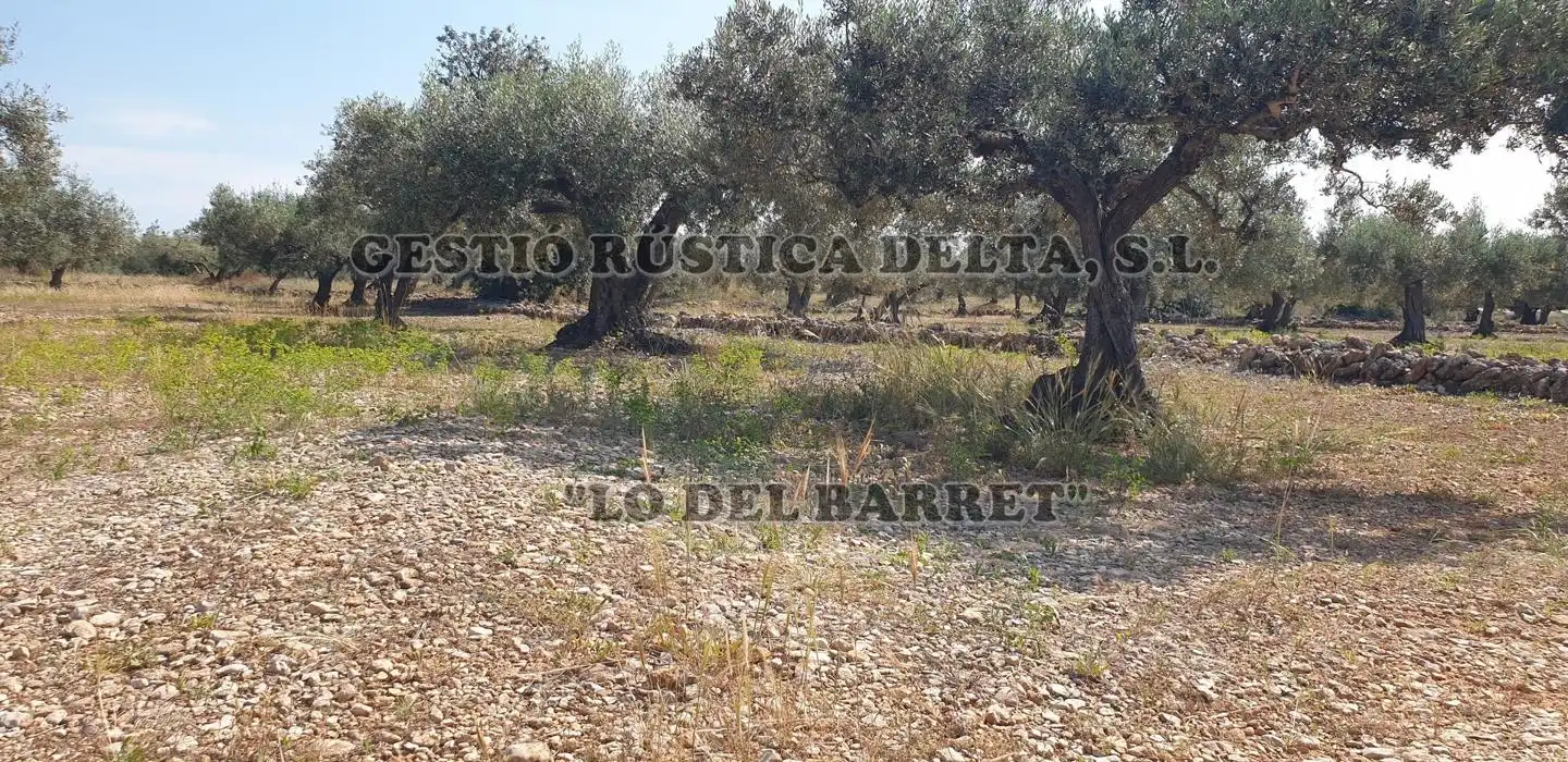 Terreno rústico en venta en Polígono 1, imagen 20