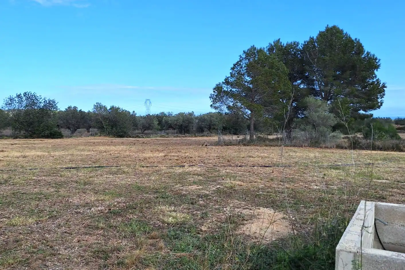 Terrain rustique à vendre à Carrer Andreu Llambrich 48, imagen 18