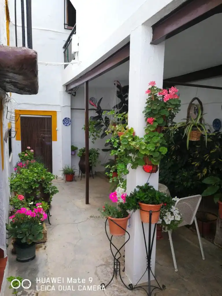Jardí de Edifici en venda en Loja