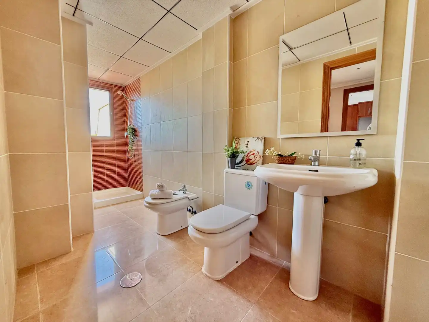 Attico con terrazza in vendita a San Pedro del Pinatar, imagen 37
