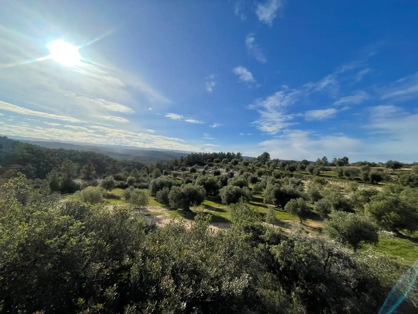 Rural land for sale in Cervià de Les Garrigues, imagen 24