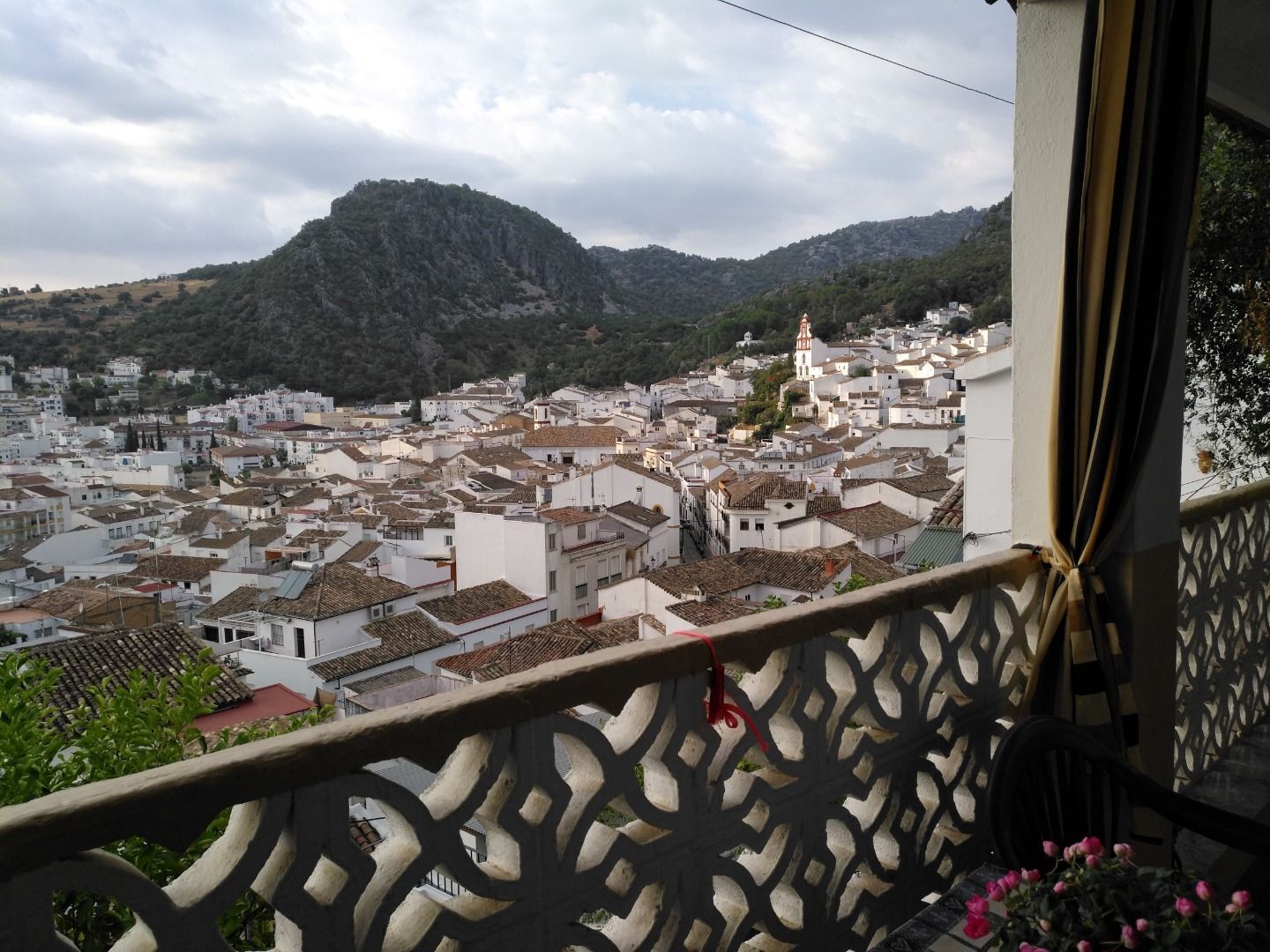 Exterior view of Country house for sale in Ubrique  with Private garden, Terrace and Storage room