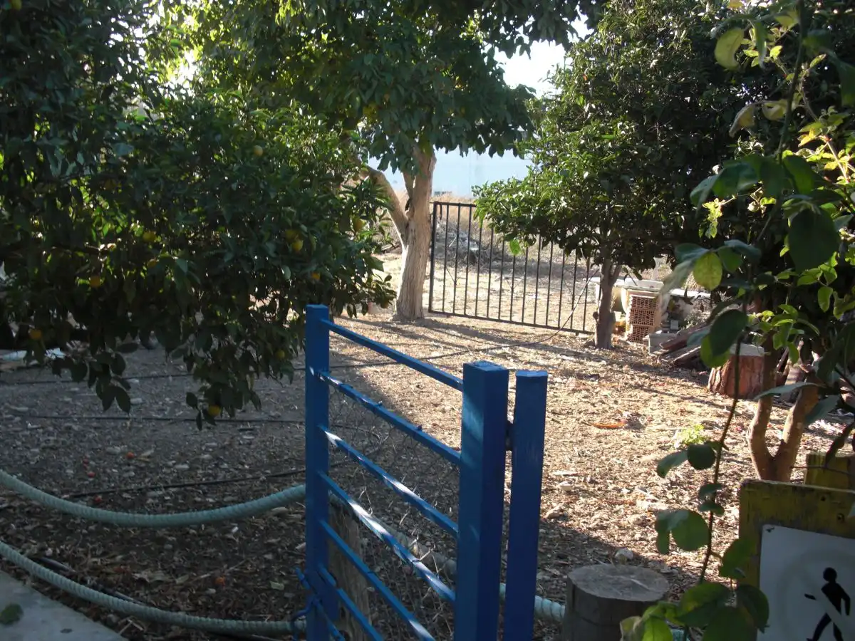 Maison rustique à vendre à Vejer, imagen 47
