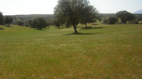 Photo 2 of Country house for sale in Nuño Gómez, Toledo