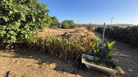 Foto 5 de Finca rústica en venta en Casco Antiguo, Badajoz