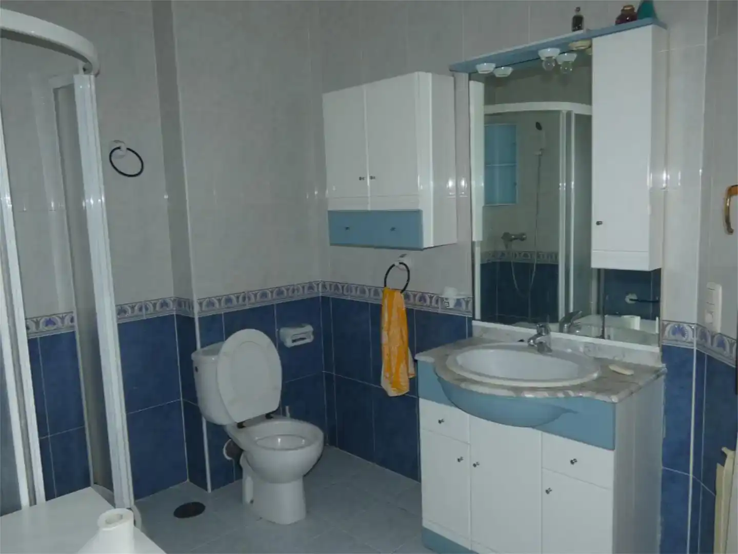 Bany de Casa o xalet en venda en Tudela de Duero