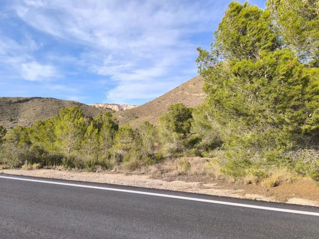 Rural land for sale in Poligono 4, parcela 190, imagen 7