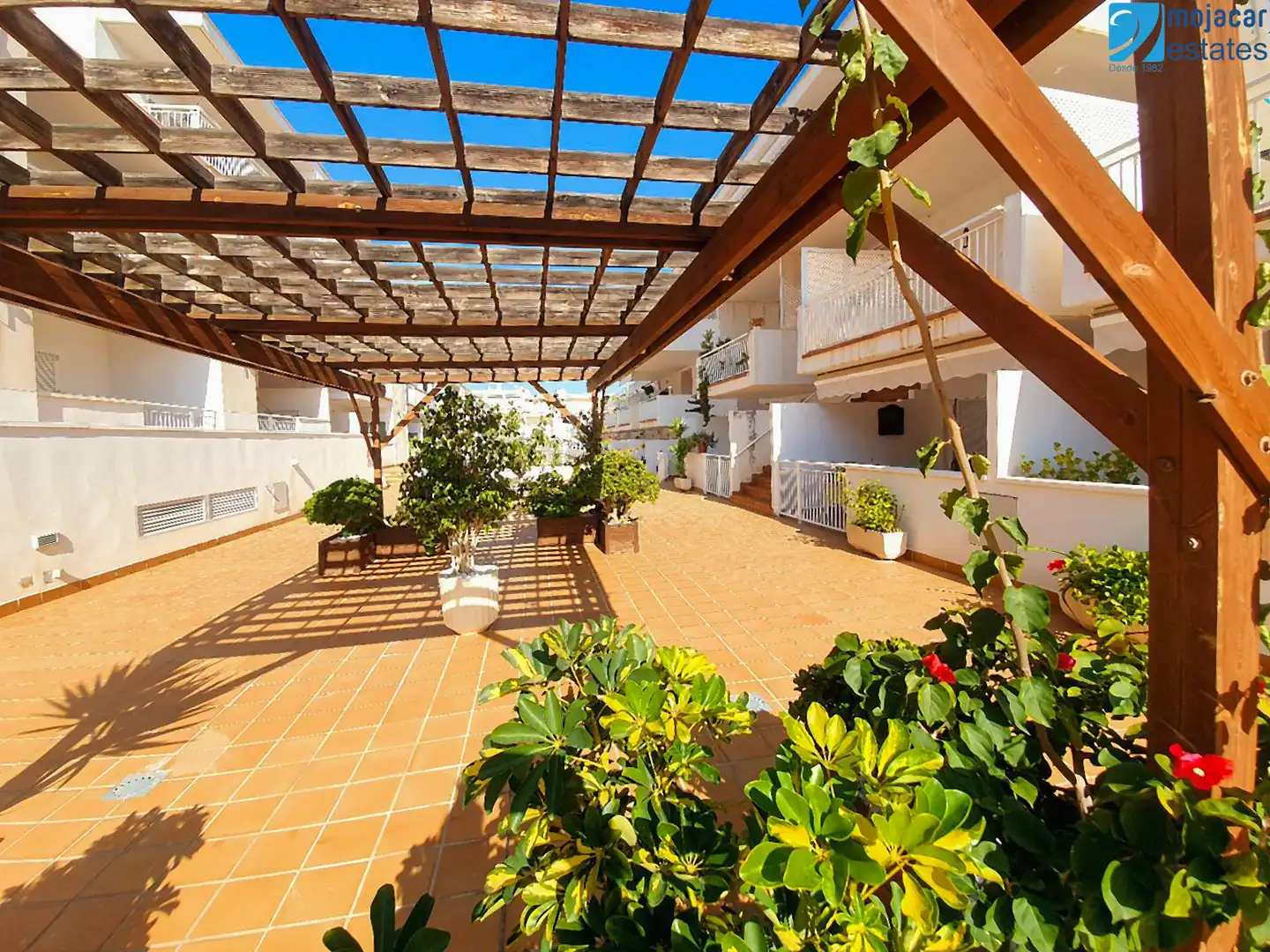 Appartement compact avec terrasse à vendre à Avenida Costa Levante 8B, imagen 21