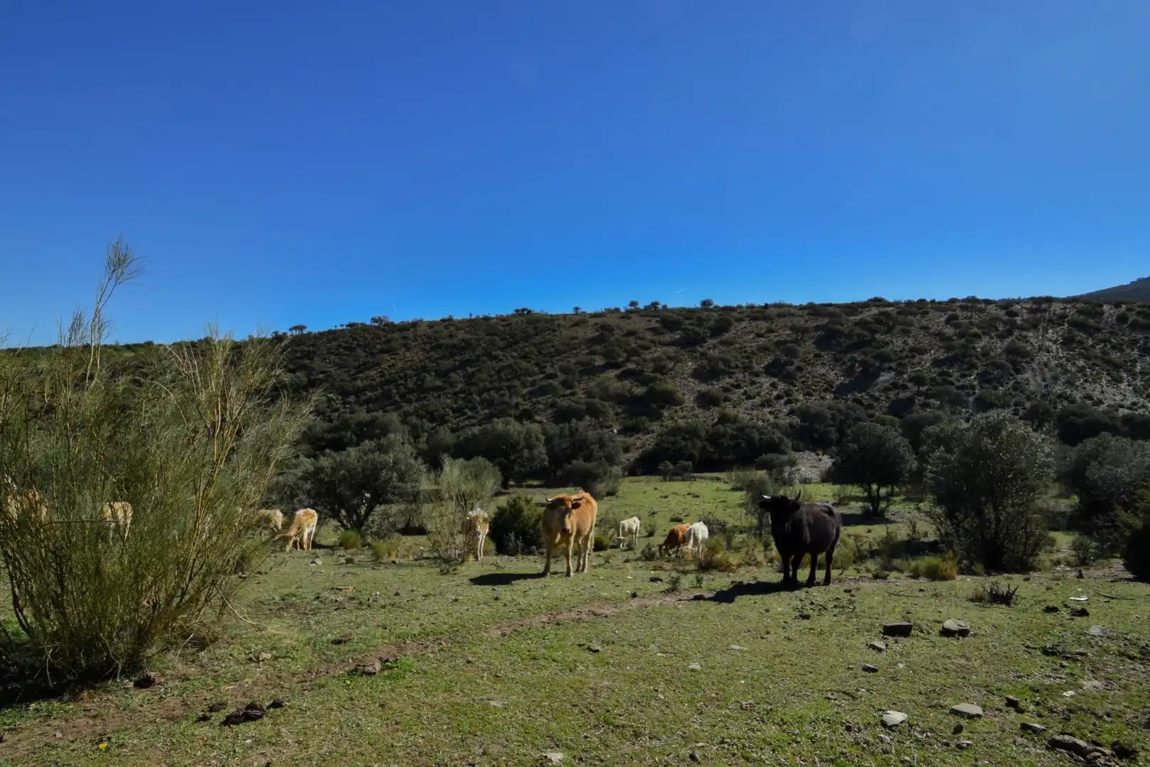 Terreno en venta en Paraje de las Perdices, Lugros
