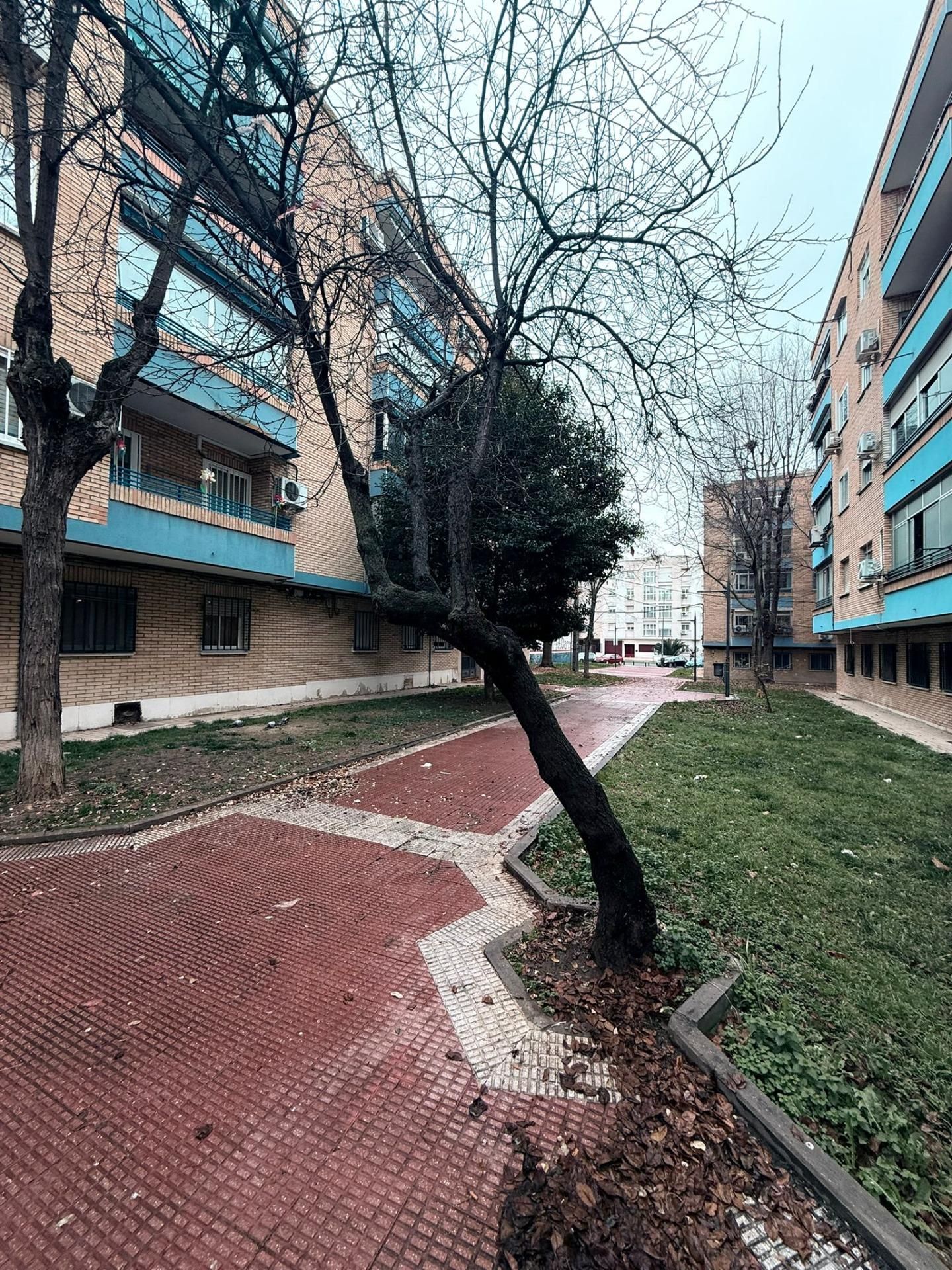 Exterior view of Flat for sale in Parla