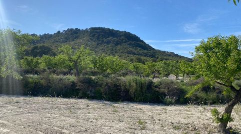 Paraíso Agrícola en la Sierra de Moratalla Almendros, Olivos y Vistas Únicas, immagine 5