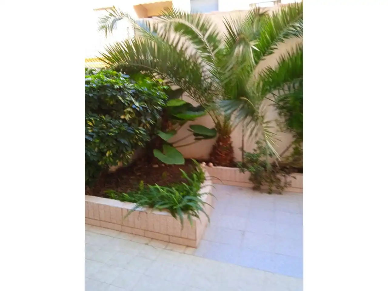 Casa o chalet en venta en Avenida PAPA LUNA, Zona Papa Luna - Platja del Gurugú