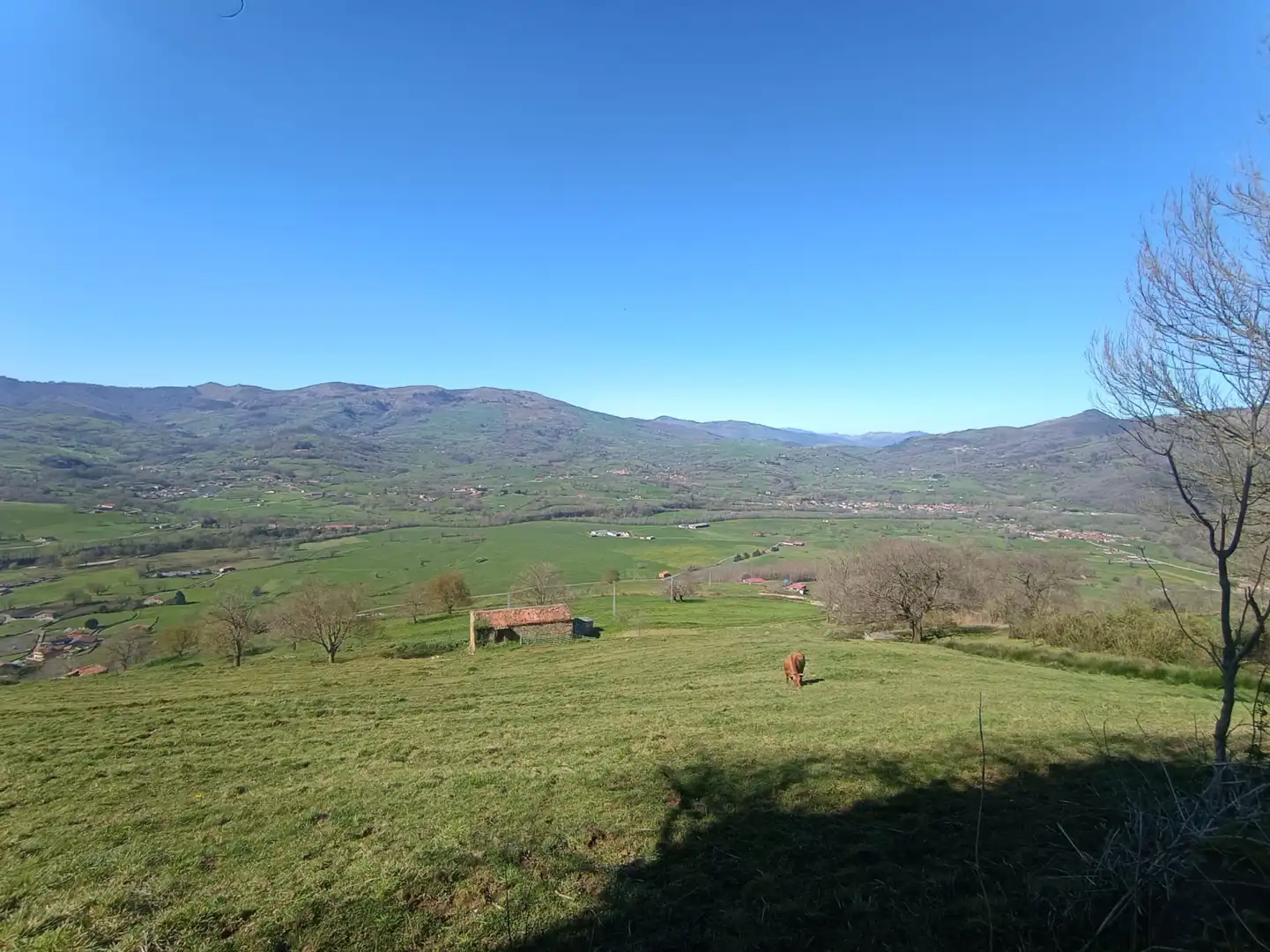 Land for sale in Villacarriedo