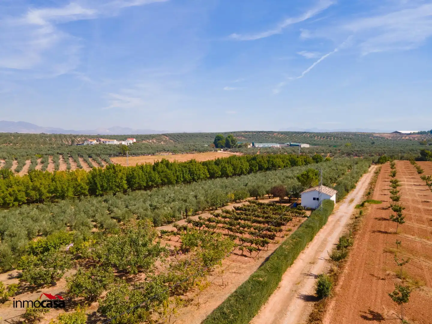 Chalet con piscina en venta en Moraleda de Zafayona, imagen 87
