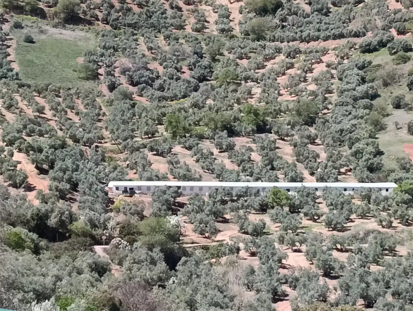 Finca rústica en venda en Chiclana de Segura, Jaén