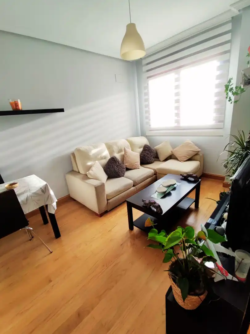 Living room of Flat for sale in Madrid  with Air Conditioner, Heating and Terrace
