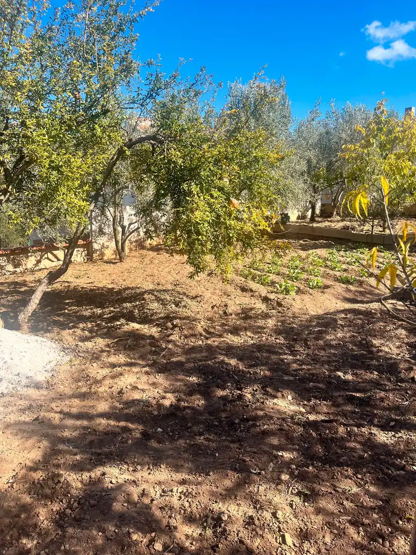 Casa o chalet en venta en Aiguamúrcia con Jardín privado, Terraza y Trastero
