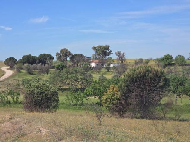 Finca rústica en Venta en Urb. Calypo