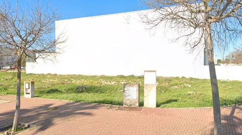Photo 4 of Industrial land for sale in Caballero Bonald - San José Obrero - Guadalcacín, Cádiz