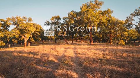 Photo 4 of Residential for sale in 7, Cala, Huelva