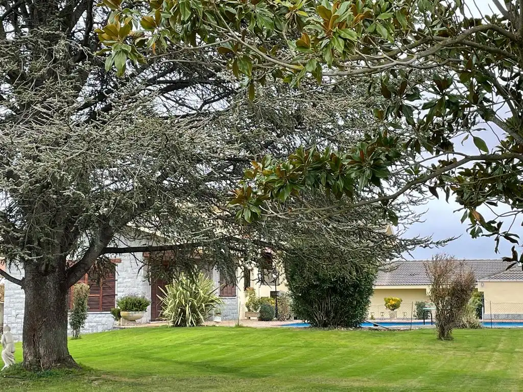 Vista exterior de Casa o xalet en venda en Castañares de Rioja amb Calefacció, Jardí privat i Parquet