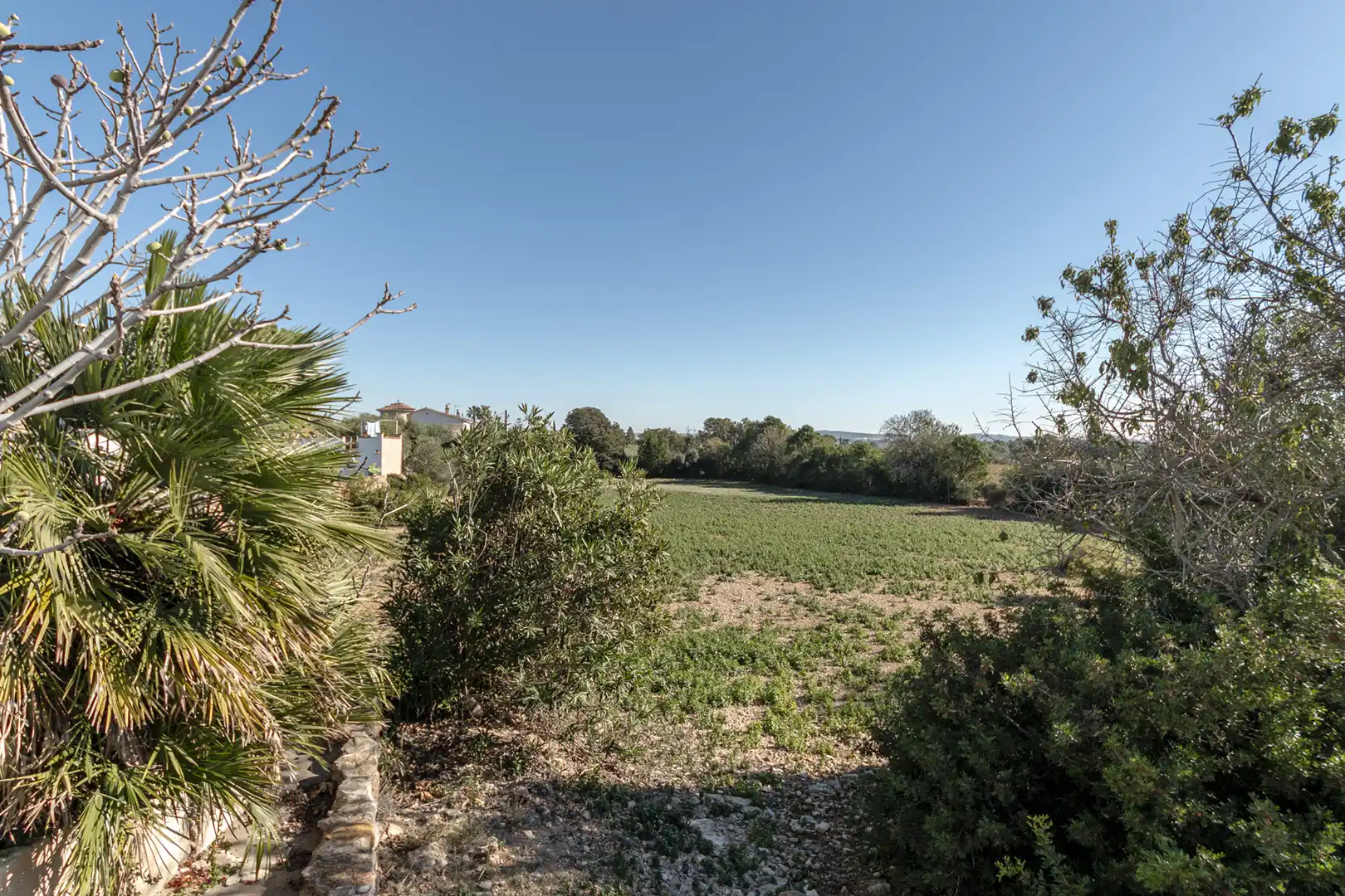 Finca rústica en venda en Banyeres del Penedès amb Jardí privat, Parquet i Piscina