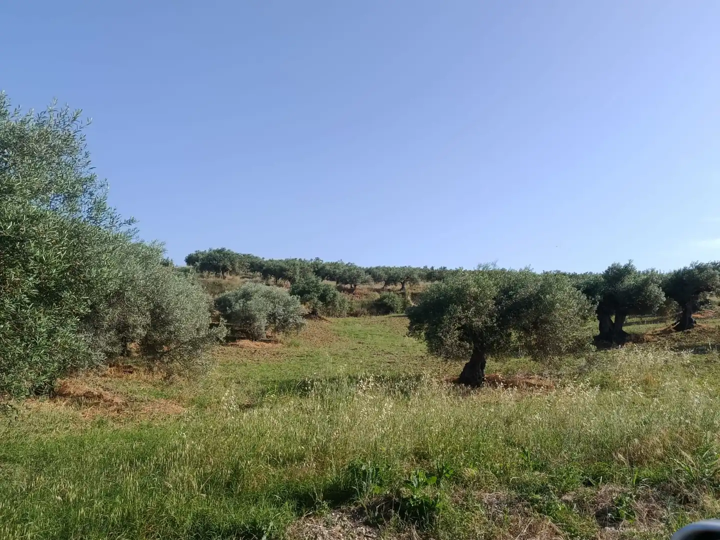 Terreni e lotti in vendita a Alquería - Torrealquería, imagen 8