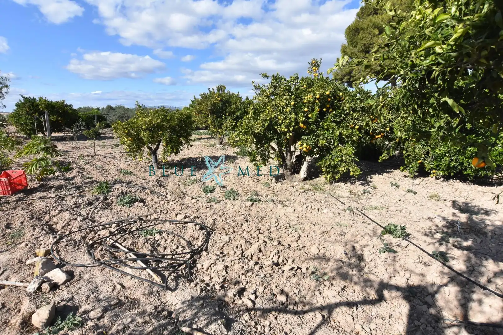 Maison rustique avec jardin à vendre à Mazarrón Casco Urbano, imagen 31