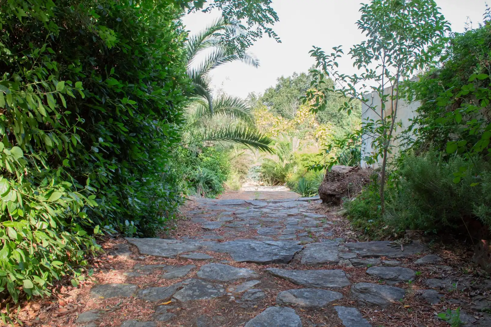 Vista exterior de Finca rústica en venda en Plasencia amb Aire condicionat, Calefacció i Jardí privat