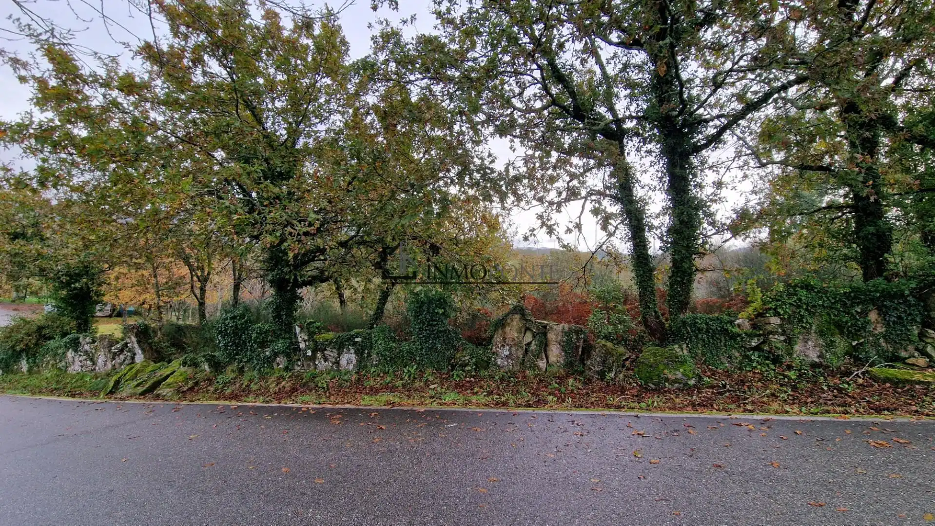 Lands and plots for sale in Soutomaior, imagen 3